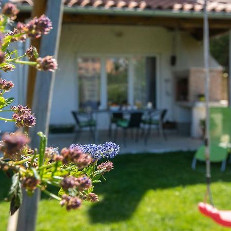 Apartment Green Garden Pola Esterno foto